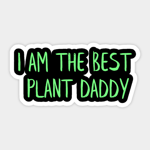 Best plant daddy
